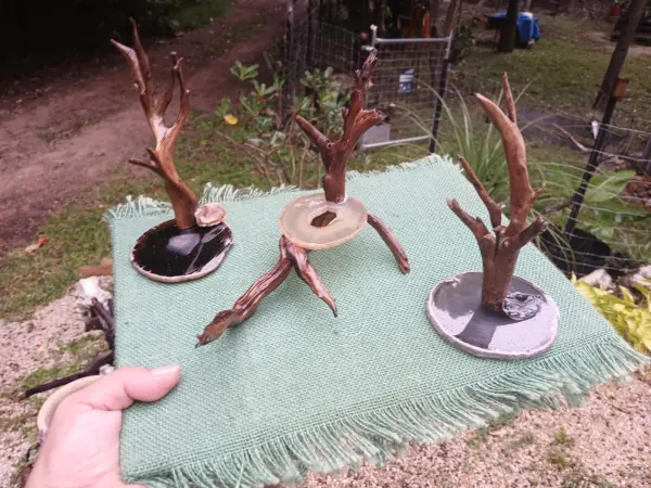 Driftwood Jewellery Tree Set