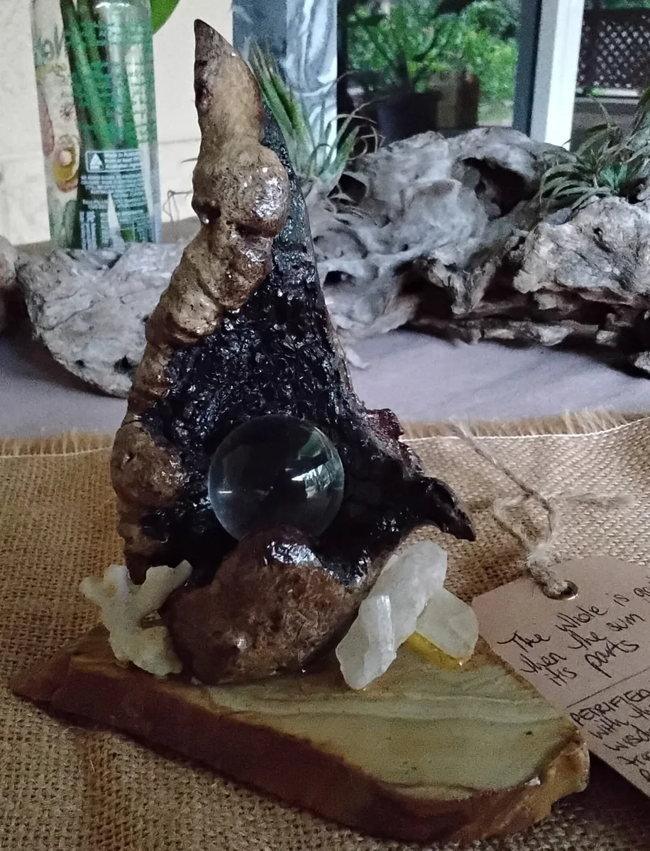 Crystal Sphere & Petrified Wood Display