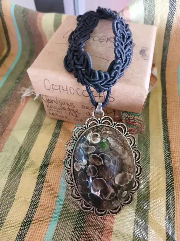 Orthoceras Fossil Pendant