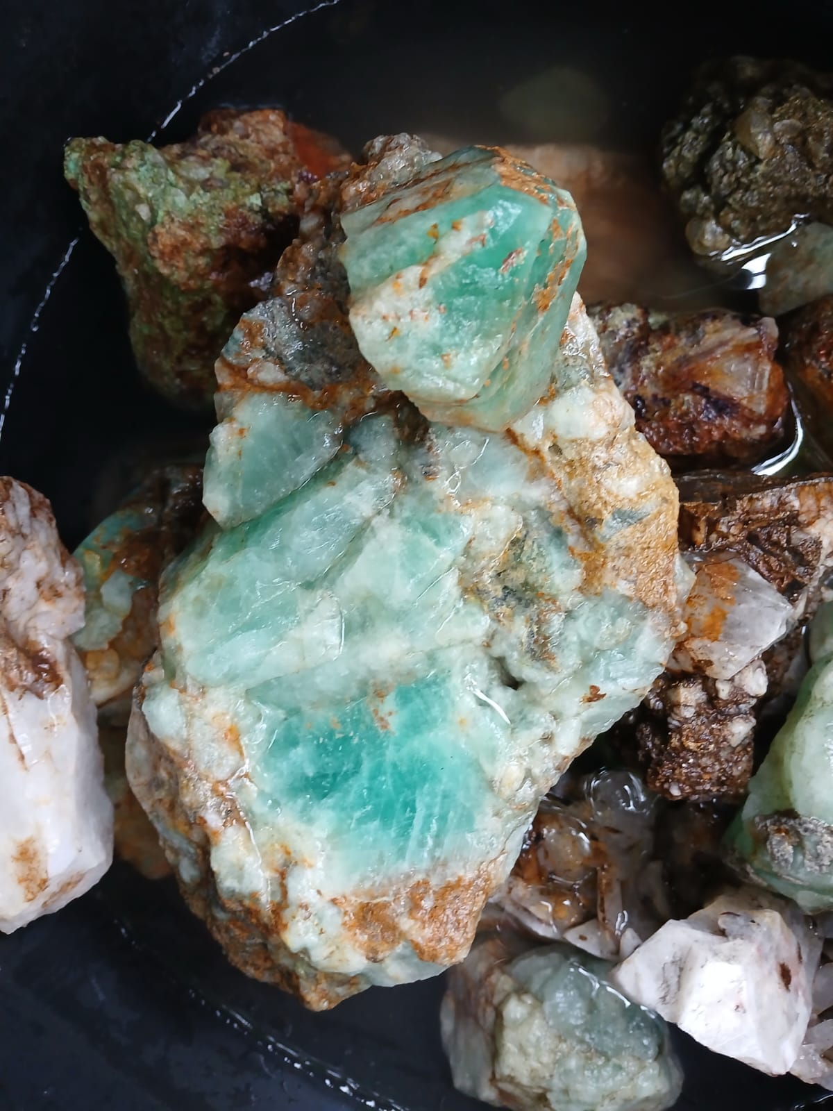 Raw green amazonite and quartz crystals fresh from the creek, still wet