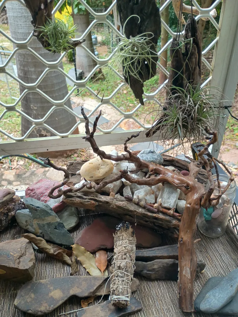 Weathered driftwood, white river quartz and bush finds arranged on the bench