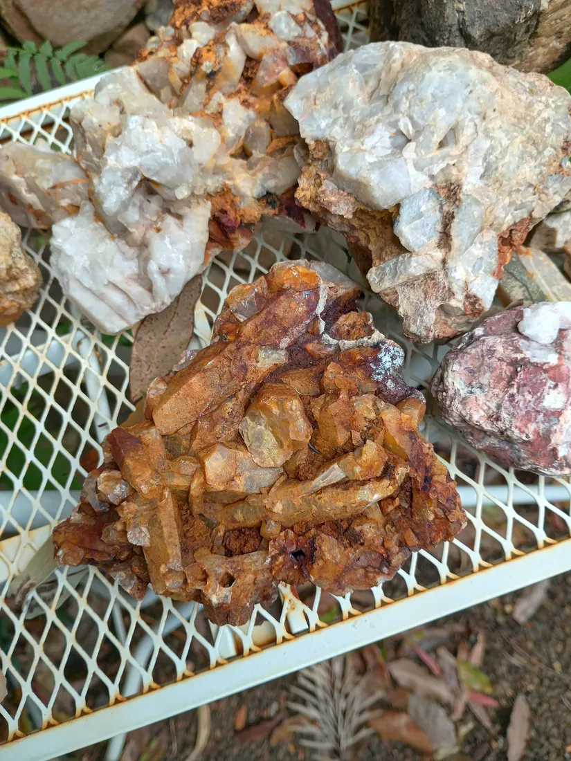 Iron-stained quartz crystal clusters, freshly gathered and unwashed